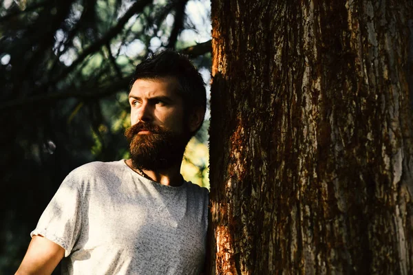 Macho com barba gosta de tempo ensolarado. Temporada quente e masculinidade — Fotografia de Stock