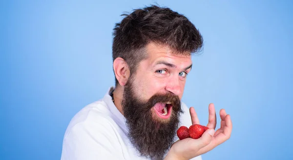 Man glada ansikte öppen mun med skägg äter jordgubbar. Vill prova min berry Hipster skäggiga innehar jordgubbar på palm, närbild. Man glada kommer att äta mogna söta jordgubbar blå bakgrund — Stockfoto