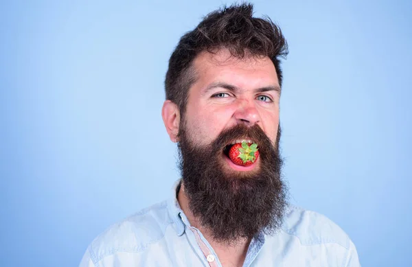 Man snygg hipster med långt skägg äta jordgubbar. Man njuta av berry smaken. Berry i mynningen av skäggiga hipster. Hipster glada njuta av saftigt mogna röda jordgubbar. Söt jordgubbssmak koncept — Stockfoto