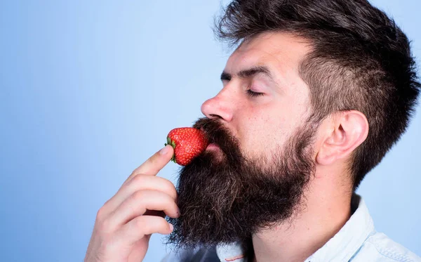 D.v.s. Hur smakar sommar. Strawberry hälsosamt mellanmål. Man snygg hipster med långt skägg äta jordgubbar. Hipster njuta av saftigt mogna röda jordgubbar. Man njuta bär arom. Bär säsong koncept — Stockfoto