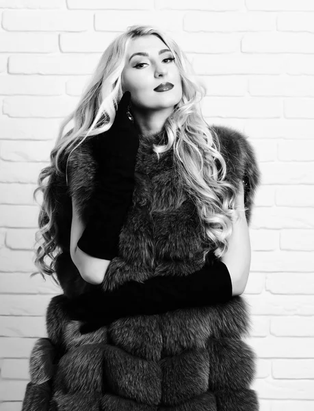 fashionable sexy woman in fur