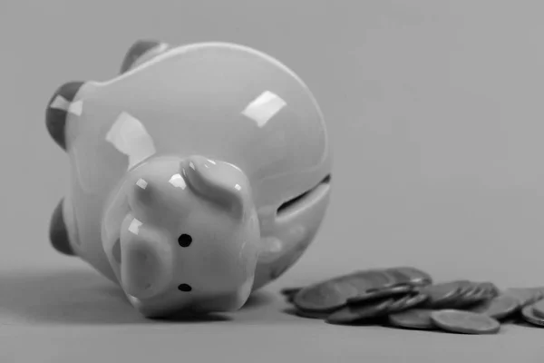 Ceramic toy pig on back with money fallen out — Stock Photo, Image