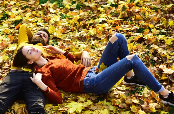 Casal no amor está em folhas caídas secas no parque — Fotografia de Stock