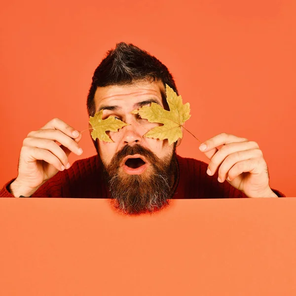 Mann mit Bart hält Ahornbaumblätter vor geschlossenen Augen. — Stockfoto
