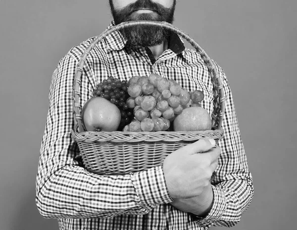 Landwirtschafts- und Gartenkonzept. Mann hält eigene Ernte. — Stockfoto