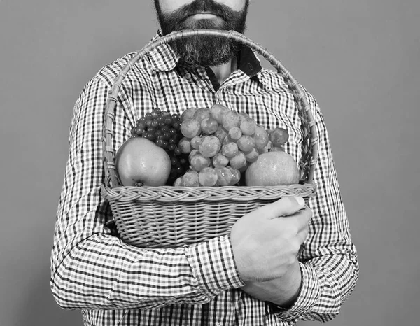 Concepto de agricultura y jardinería. El tipo tiene cosecha propia . —  Fotos de Stock