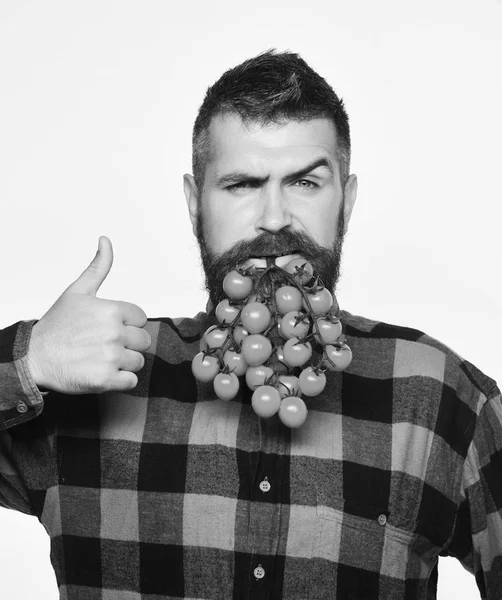 Kerl zeigt Ernte. Mann hält Tomatenbeeren als Bart — Stockfoto