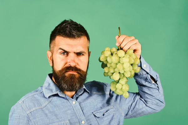 Mann mit Bart hält Bündel grüner Trauben in der Hand — Stockfoto