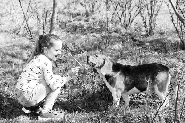 Щаслива дитина грає з домашнім другом у сонячний день. Маленька дівчинка тренує собаку на літній природі. Дитина посміхається біглі на свіжому повітрі. Дитинство та дружба. Концепція тренувальних собак — стокове фото