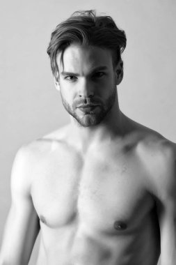 Göğsü sağlam sakallı bir adam. Seksi, çıplak gövdeli bir maço. Şık sakallı ve saçlı sporcu ya da sporcu. Spor salonunda antrenman ve spor faaliyetleri. Spor fitness ve vücut bakımı konsepti