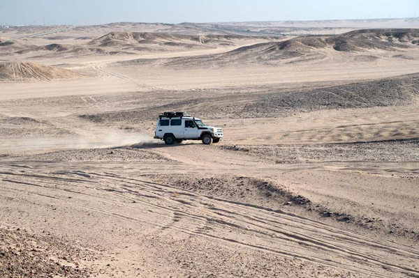 Course dans le désert de sable. Voiture SUV surmonte les obstacles dunes de sable. Compétition course défi désert. Voiture conduit hors route avec des nuages de poussière. Course de véhicules hors route avec obstacles en pleine nature — Photo