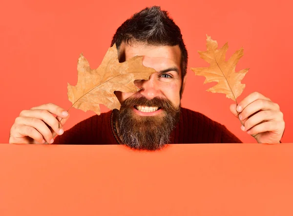 Mann hält Eichenlaub auf pfirsichorangefarbenem Hintergrund — Stockfoto