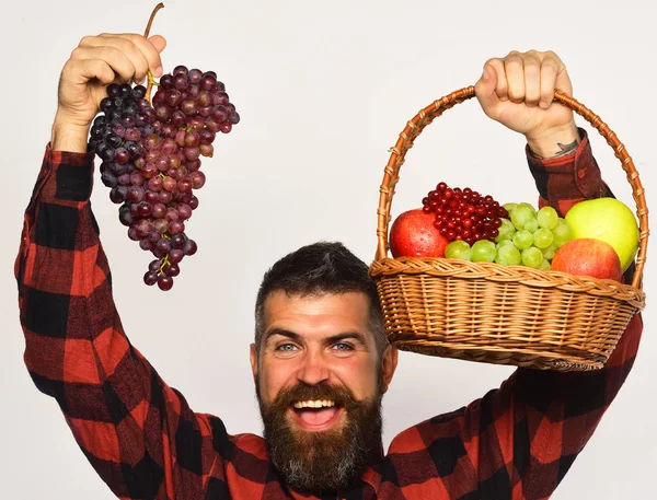 Hasatı olan adam. Sakallı adam elinde meyve sepeti tutuyor.