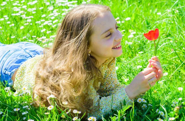 子供は、草原に横たわっている間チューリップの香りをお楽しみください。草地、草背景に横になっている長い髪を持つ少女。アレルギーの概念。幸せそうな顔の女の子は、晴れた春の日の赤いチューリップの花を保持しています。 — ストック写真