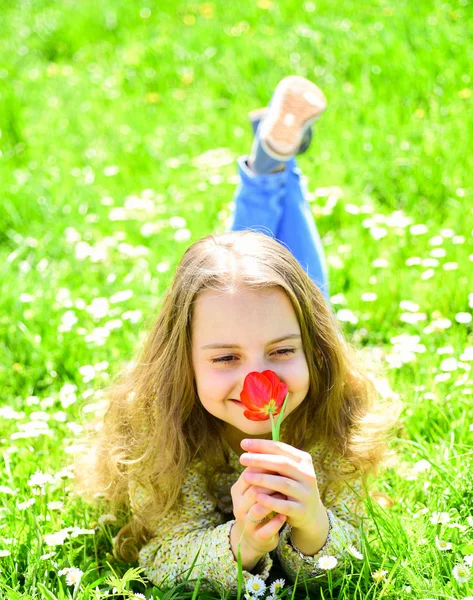 背景に草地の草の上に横たわる少女。笑顔の女の子が赤いチューリップの花を保持して、香りをお楽しみください。子供では、春の晴れた日、花と草原で横になってお楽しみください。チューリップの香りのコンセプト — ストック写真