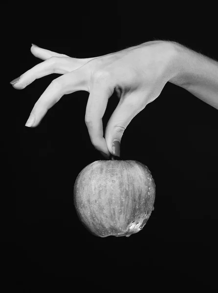 Mano femenina sostiene fruta fresca aislada sobre fondo negro . — Foto de Stock