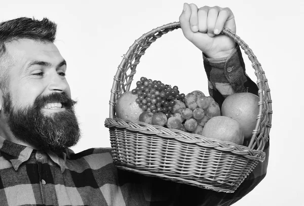 El tipo tiene cosecha propia. Hombre con barba sostiene cesta de frutas —  Fotos de Stock