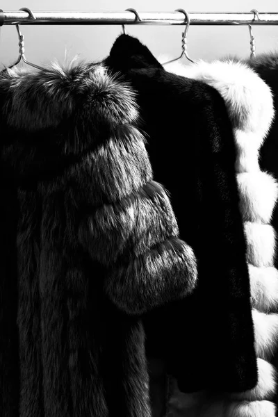 Модные роскошные пальто из меха висит на стойке на золотых вешалках на красном фоне студии. — стоковое фото