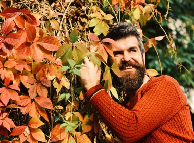 Sonbaharda sarmaşık yapraklarında gülen bir adam..