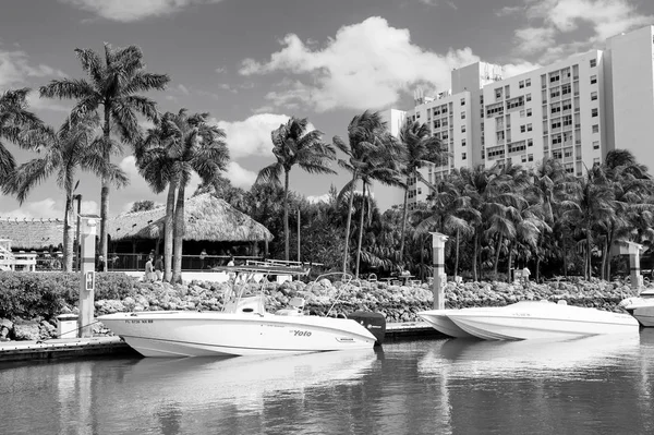 Vista de lujosos barcos y yates atracados en un puerto deportivo de Miami South Beach. Concepto de estilo de vida — Foto de Stock