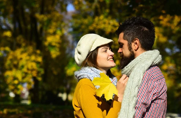 Couple amoureux avec des écharpes tient feuilles jaunes . — Photo