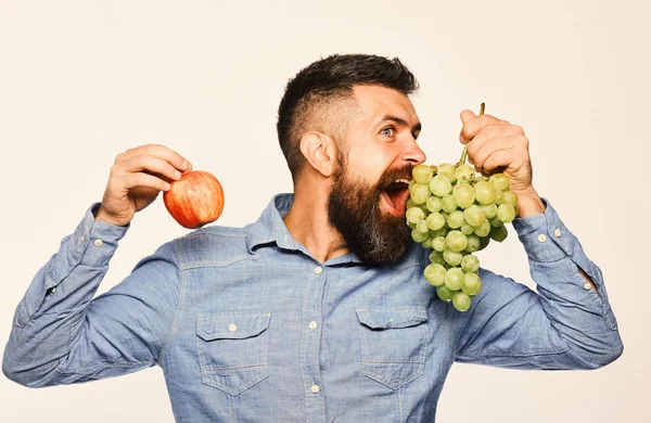 Jordbrukaren visar skörd. Vintillverkning och höstens fruktkoncept — Stockfoto