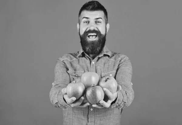 Man med skägg håller röd frukt isolerad på grön bakgrund — Stockfoto