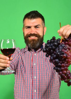 Vintner hasat gösteriyor. Sakallı adam bir demet üzüm tutuyor.