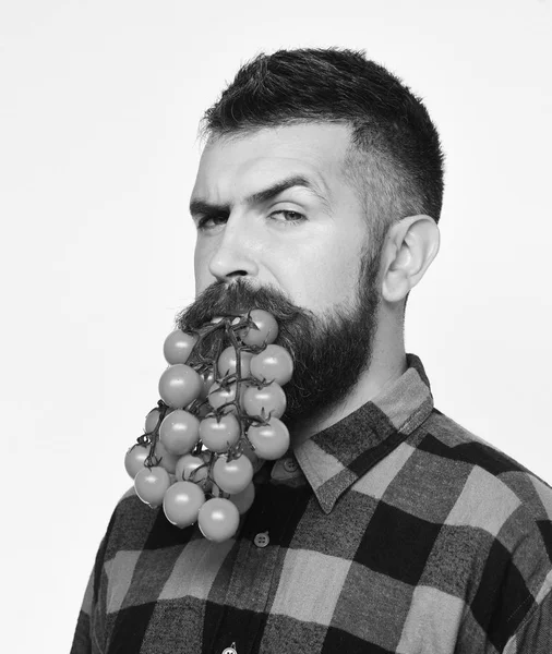 Çiftçilik ve sonbahar konsepti. Adam domates böğürtlenlerini sakal olarak tutuyor