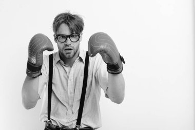 Beyaz arka planda izole edilmiş deri kutu ekipmanı olan inek.