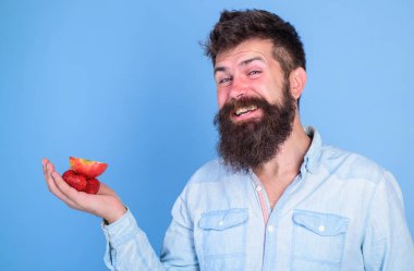 Sakallı adam neşeli yüz organik davranır sunmaktadır. Muamele etmek var. Elma meyve mavi arka plan davranır ve çilek denemek adam sunuyor. Sakallı hippi çilek ve elma Palm'da tutar