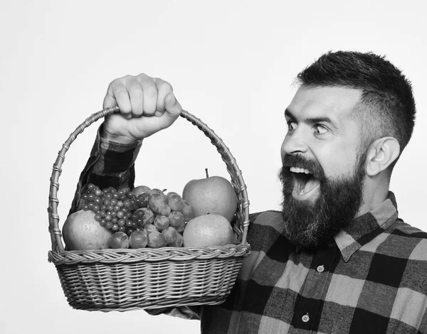Agricultor con sonrisa malvada presenta manzanas, uvas y arándanos. —  Fotos de Stock