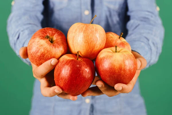 Male hands hold red apple fruits isolated on green background