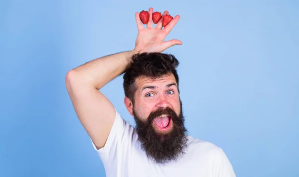 Homme barbu hipster tient la main avec des fraises au-dessus de la tête comme couronne. Concept de roi des fraises. Homme jardinier réussi roi de fond bleu fraise. Hipster heureux visage barbu avec couronne — Photo