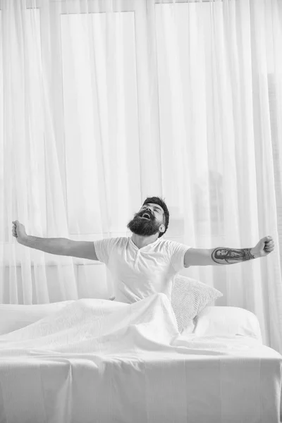 Guy on sleepy face yawning and stretching. Refreshment rest concept. Man in shirt sits on bed, white curtains on background. Macho with beard and mustache yawning, relaxing, having nap, rest