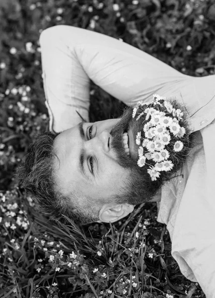 L'uomo barbuto con fiori di margherita giaceva su prati, sfondo erba. L'uomo con la barba sul viso sorridente godere della natura. Hipster con bouquet di margherite in barba rilassante. Unire con concetto di natura — Foto Stock