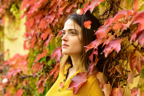 Senhora posando perto de folhas vermelhas. Menina gosta de tempo de outono — Fotografia de Stock