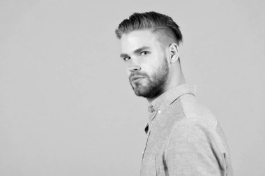 Tıraşsız yüzlü sakallı bir adam. Mavi gömlekli sakallı adam. Tarz sahibi, gri saçlı bir manken. Cilt bakımı ve berber salonu. Biçim veya eğilim ve saç stili kavramı, kopyalama alanı