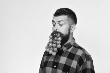 Beyaz arka planda sakallı bir adam domates böğürtleni tutuyor.