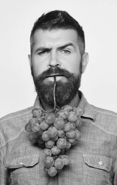 Mann mit Bart hält Bündel grüner Trauben in der Hand — Stockfoto