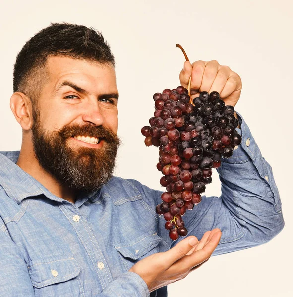 Weinbau und Gartenbaukonzept. Winzer mit kniffligem Lächeln — Stockfoto