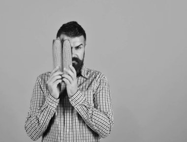 Yarı saklanmış ciddi yüzlü çiftçi sarı mısırları tutuyor.