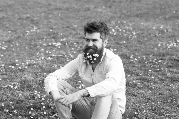 Hipster με χαμογελαστό πρόσωπο, φόντο πράσινο γρασίδι. Όμορφος άνδρας με Μαργαρίτα ή χαμομήλι λουλούδια για τα γένια του. Άνοιξη φρεσκάδα έννοια. Άνδρας με μούσι και μουστάκι απολαμβάνοντας ηλιόλουστη ημέρα σε εξωτερικούς χώρους — Φωτογραφία Αρχείου