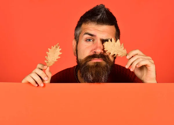 Idea de octubre y noviembre. Concepto de otoño y clima frío — Foto de Stock