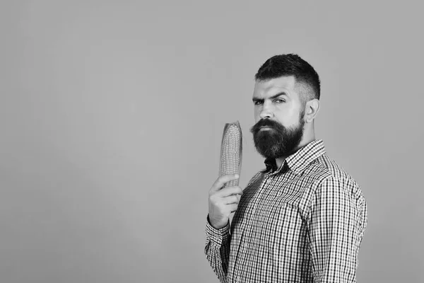 Granjero con cara seria sostiene maíz amarillo en la mano. El tipo muestra su cosecha. Hombre con barba sostiene mazorca de maíz — Foto de Stock