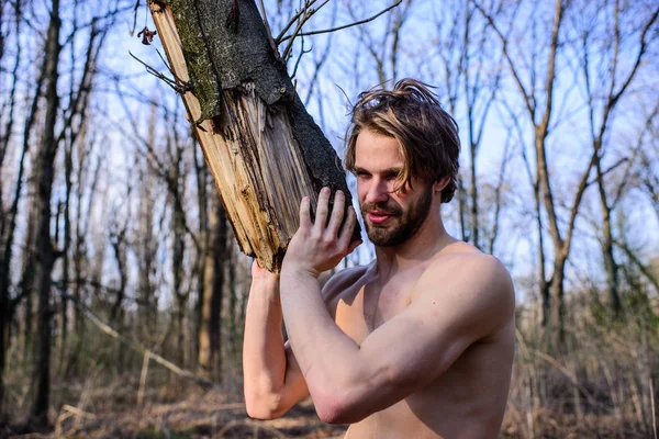 Masculinity concept. Man brutal strong attractive guy collecting wood in forest. Man brutal sexy lumberjack carry big log in forest. Lumberjack or woodman sexy naked muscular torso gathering wood — Stock Photo, Image