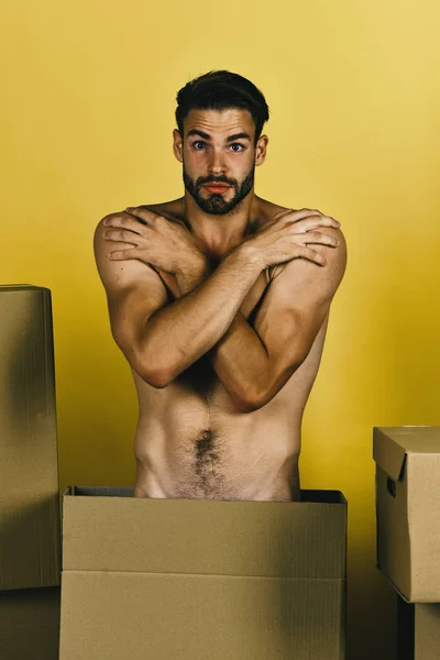 Hombre de pie desnudo entre cajas de cartón. Macho con cerdas y rostro avergonzado cubriendo cuerpo desnudo —  Fotos de Stock