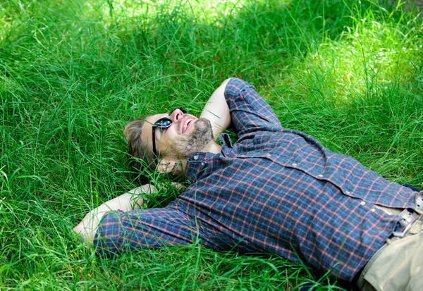 Doğal tazelik. Adam sakallı hippi doğa ile birleşmiş. Doğa ona tazelik ve ilham ile doldurur. Adam tıraşsız adam yeşil çim çayır üzerinde yatıyordu. Adam mutlu ve huzurlu çimen tazeliğini zevk