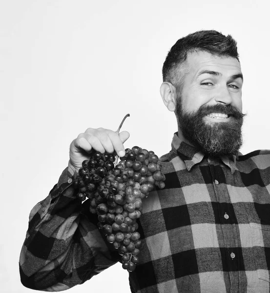 Bauer zeigt seine Ernte. Weinbau und Herbstpflanzenkonzept. — Stockfoto