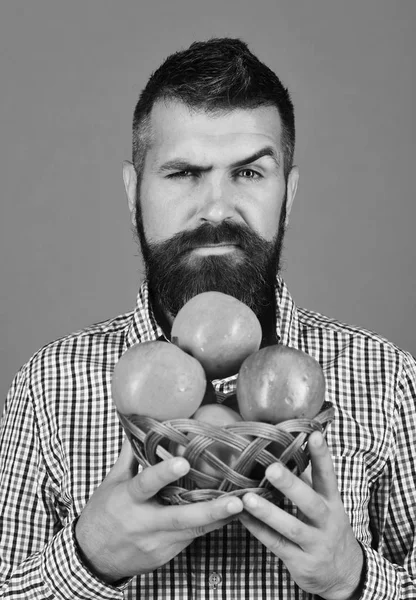 Guy präsentiert hausgemachte Ernte. Bauer mit verführerischem Gesicht — Stockfoto